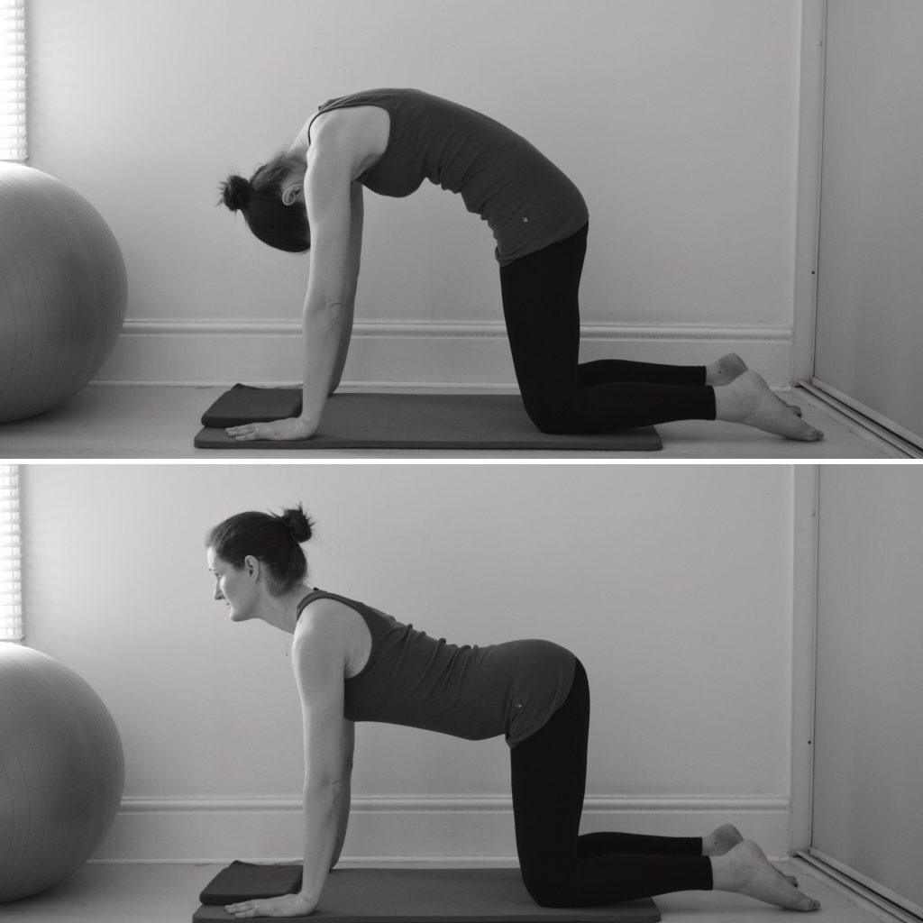 stretch for the lower back