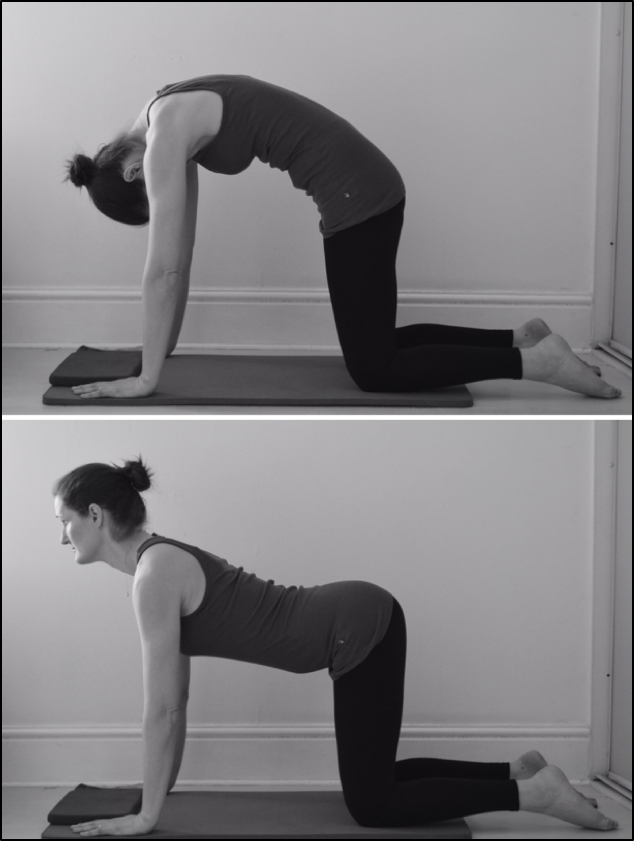 Spinal mobility stretch for scoliosis