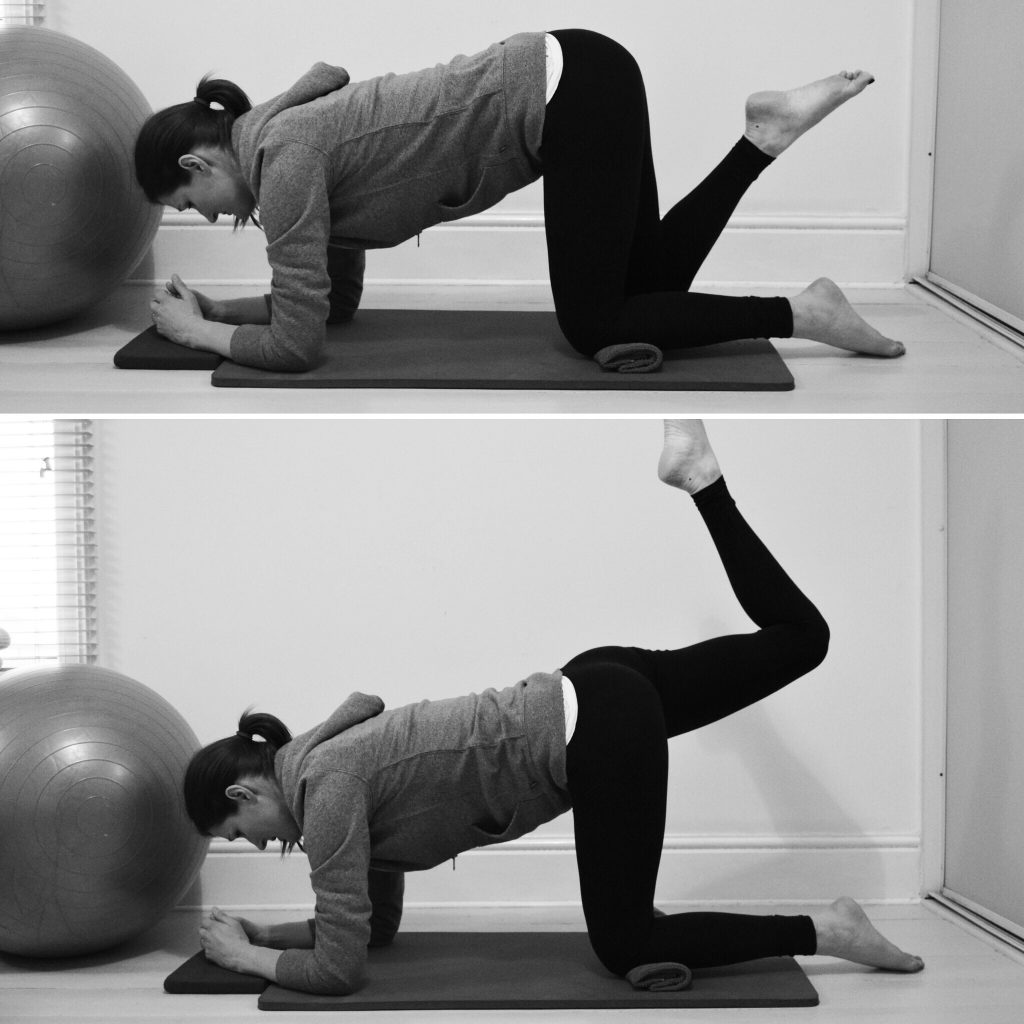 Hip strengthening exercise on all fours