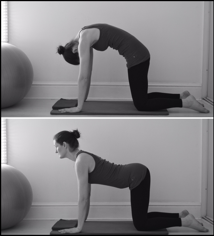 Spinal mobility stretch for scoliosis