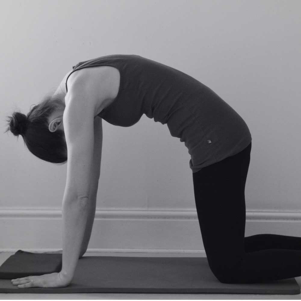 Osteoarthritis stretch